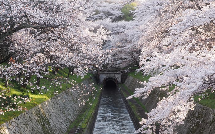 鴨川の風景